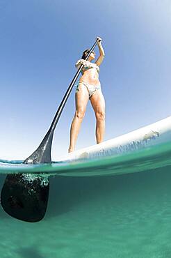 Low angle view of woman standing on paddle board