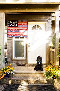 Dog sitting on front porch