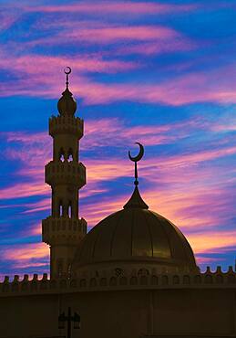 Silhouette of ornate spires and dome building, Abu Dhabi, Abu Dhabi Emirate, United Arab Emirates