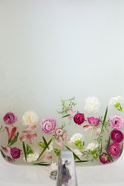 Flowers floating under faucet in a milk bath