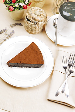 Slice of chocolate cake on plate