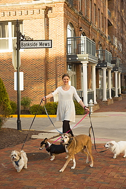 Caucasian woman walking dogs in city