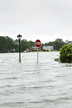 Flooding around stop sign and streetlamp