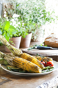 Plate of grilled corn, tomatoes and zucchini