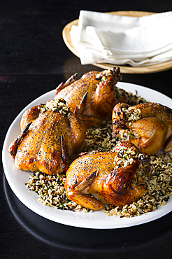 Cornish hens on plate with rice