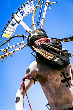 Apache man dancing in traditional regalia