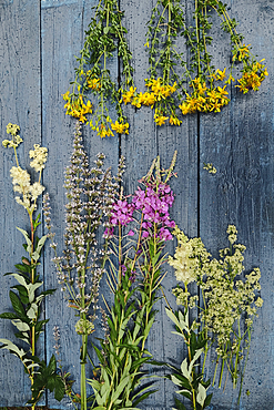 Multicolor flowers laying on wooden table