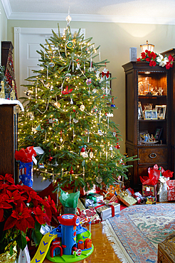 Gift boxes and toys with decorated Christmas tree