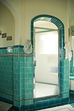 Walk-in shower with glass door