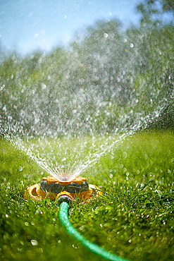 Surface level view of backyard sprinkler spraying