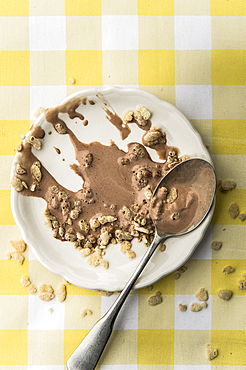 Melted chocolate ice cream on spoon with cereal