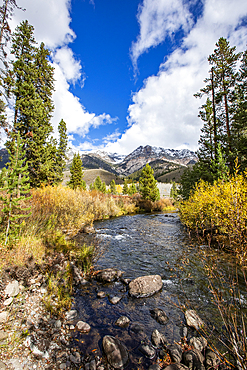 USA, Idaho, Big Wood River rushes through forest near Sun Valley