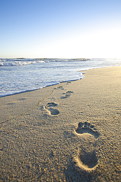 Footprints on the beach, Nantucket, Massachusetts, USA