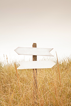 Signpost with blank arrow signs in field of grass
