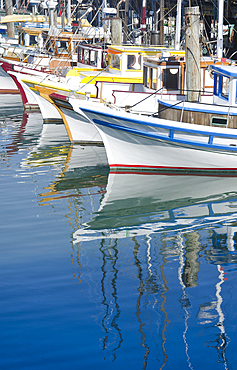 Historic "Monterrey Clippers" fishing fleet