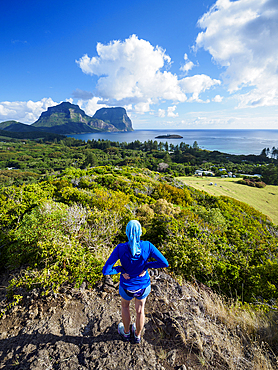 Rear view of female looking at Mount Gower while hiking on Lord Howe Island, Lord Howe Island, New South Wales, Australia