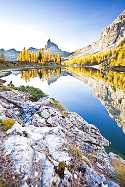 The peak of the Becco di Mezzodi, in the Dolomites, reflecting in the Federa lake, surrounded by yellow larches, Trentino-Alto Adige, Italy, Europe