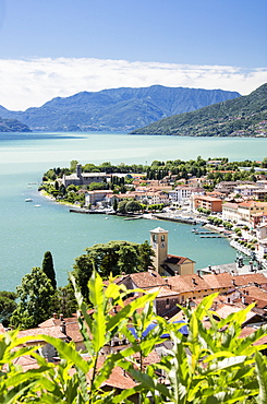 View of the typical village of Gravedona surrounded by Lake Como and gardens, Province of Como, Italian Lakes, Lombardy, Italy, Europe