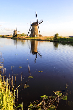 Typical windmills reflected in the canal framed by grass in spring, Kinderdijk, UNESCO World Heritage Site, Molenwaard, South Holland, The Netherlands, Europe