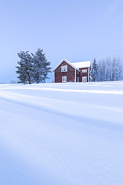 Wood house at dusk in the boreal forest (Taiga) covered with snow, Kiruna, Norrbotten County, Lapland, Sweden, Scandinavia, Europe