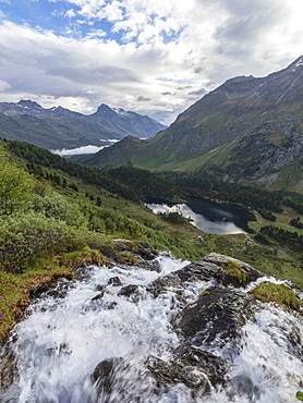 Flowing water of a creek around Lake Cavloc, Maloja Pass, Bregaglia Valley, Engadine, Canton of Graubunden, Switzerland, Europe