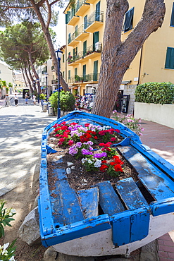 Wood boat decorated with flowers, Marina Di Campo, Elba Island, Livorno Province, Tuscany, Italy, Europe