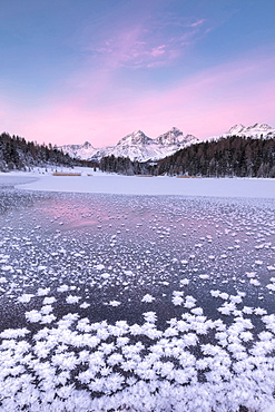 Ice crystals, Lej da Staz, St. Moritz, Engadine, Canton of Graubunden (Grisons), Switzerland, Europe