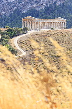 Temple of Segesta, Calatafimi, province of Trapani, Sicily, Italy, Europe