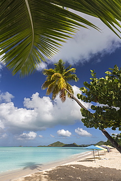 The branches of the palm trees create shade on the beach of Valley Church located on the West coast of Antigua, Leeward Islands, West Indies, Caribbean, Central America