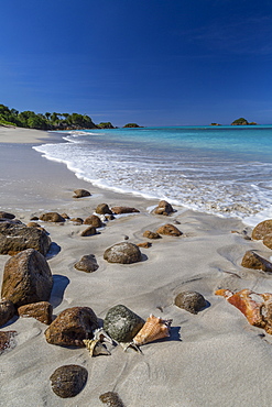 Shells and rocks lie on the beach of Spearn Bay lit the tropical sun and washed by Caribbean Sea, Antigua, Leeward Islands, West Indies, Caribbean, Central America