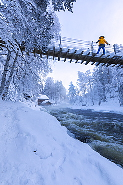 Hiker on suspension bridge above Myllykoski rapids, Juuma, Oulanka National Park, Kuusamo, Lapland, Finland, Europe