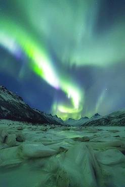 Northern Lights (Aurora borealis), Olderfjorden, Svolvaer, Lofoten Islands, Nordland, Norway, Europe