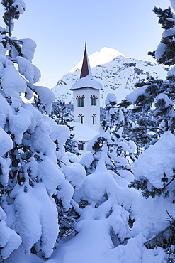 Snow covered trees around Chiesa Bianca, Maloja, Bregaglia Valley, Engadine, Canton of Graubunden, Switzerland, Europe