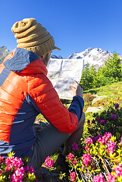 Hiker looking at map, Scermendone Alp, Sondrio province, Valtellina, Rhaetian Alps, Lombardy, Italy, Europe