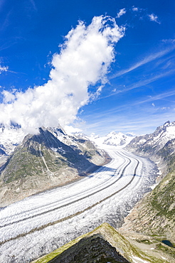 Panoramic of the ice tongue of Aletsch Glacier seen from Eggishorn viewpoint, Bernese Alps, canton of Valais, Switzerland, Europe