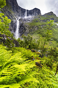 Green ferns along the course of majestic Mardalsfossen waterfall, Eikesdalen, Nesset municipality, More og Romsdal county, Norway, Scandinavia, Europe