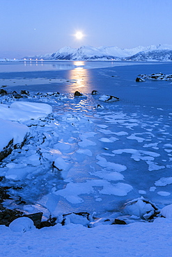 Reflections of full moon in the frozen sea, Lyngedal, Lofoten Islands, Arctic, Norway, Scandinavia, Europe