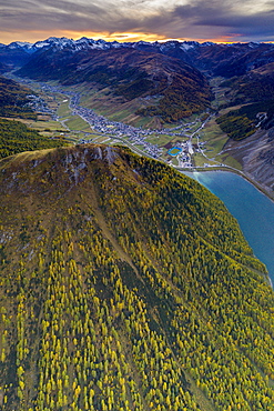 Sunset over larch woods on Crap de La Pare ridge towards Livigno village and lake, aerial view, Valtellina, Lombardy, Italy, Europe