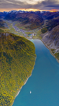 Aerial panoramic of sunset over Livigno and larch trees along the lake in autumn, Sondrio province, Valtellina, Lombardy, Italy, Europe