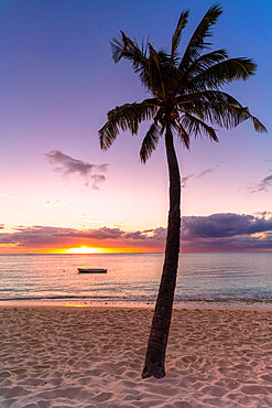 Palm tree on tropical beach during sunset, Le Morne Brabant, Black River district, Mauritius, Indian Ocean, Africa