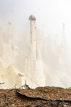 Rock pinnacles of the Earth Pyramids emerging from fog, Perca (Percha), province of Bolzano, South Tyrol, Italy, Europe