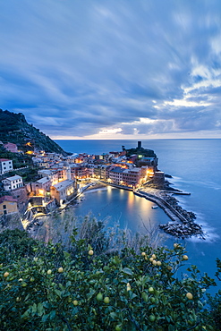 Lemon tree on hills above Vernazza at dusk, Cinque Terre, UNESCO World Heritage Site, La Spezia province, Liguria, Italy, Europe