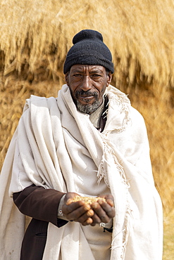 Portrait of senior man holding wheat in hands, Wollo Province, Amhara Region, Ethiopia, Africa