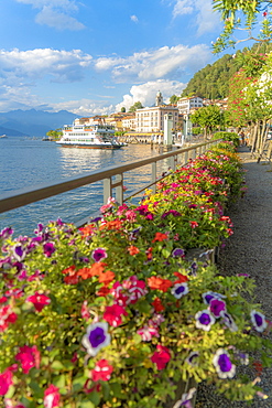 Flowers along the famous promenade surrounding Bellagio and Lake Como at sunset, Como province, Lombardy, Italian Lakes, Italy, Europe