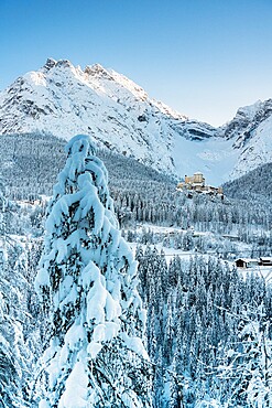 Trees covered with snow in the forest surrounding old Tarasp Castle and mountains, Engadine, Graubunden Canton, Switzerland,  Europe