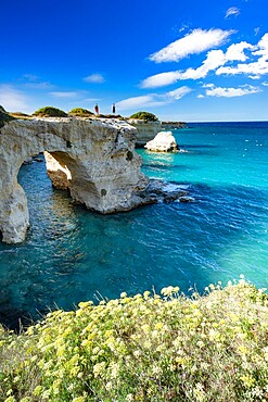 Tourists admiring the sea from natural stone arch on cliff, Torre Sant'Andrea, Lecce province, Salento, Apulia, Italy, Europe