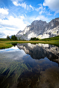 Rocky peak of Wellhorn mountain reflected in water in summer, Grosse Scheidegg Pass, Bernese Alps, Canton of Bern, Switzerland, Europe