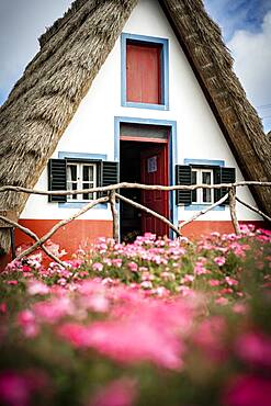 Traditional thatched house in the flowering meadows, Santana, Madeira island, Portugal, Atlantic, Europe