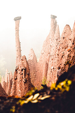 Conical rock pillars of the earth pyramids emerging from fog, Renon (Ritten), Bolzano, South Tyrol, Italy, Europe