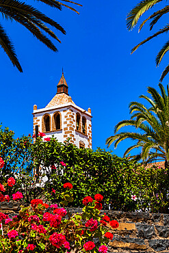 Colorful flowers framing Santa Maria church tower under the blue sky, Betancuria, Fuerteventura, Canary Islands, Spain, Atlantic, Europe